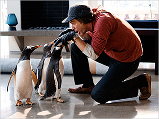 Jim Carrey und „Mr. Popper's Penguins': Ist das 'Liar Liar' mit Vögeln?