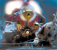 Come il Grinch ha rubato il Natale del dottor Seuss