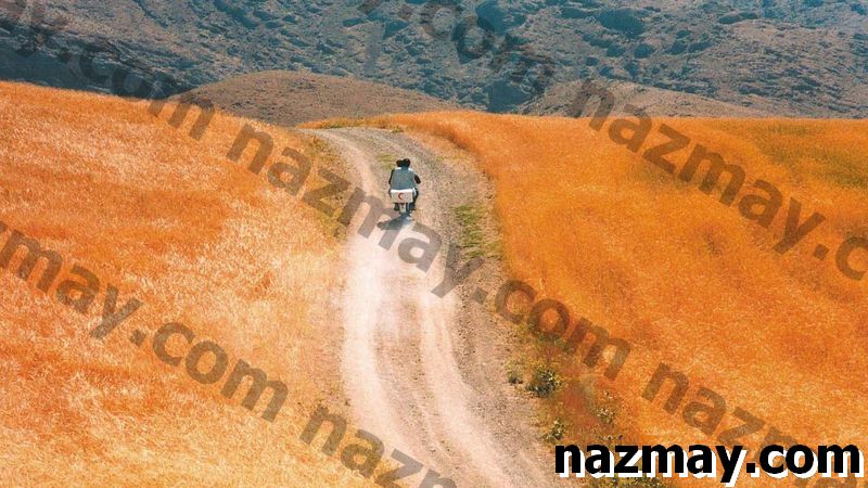Бесплатная потоковая нирвана: как получить доступ к коллекции лучших фильмов, используя вашу библиотечную карточку