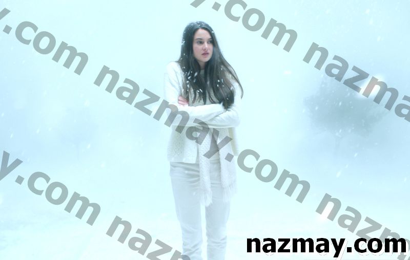 Shailene Woodley’nin Bl Bir Kar fırtınasında Beyaz Kuş ’Hakkında Bilmeniz Gereken 8 Şey