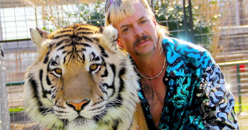 Ci saranno più stagioni di 'Tiger King' su Netflix?