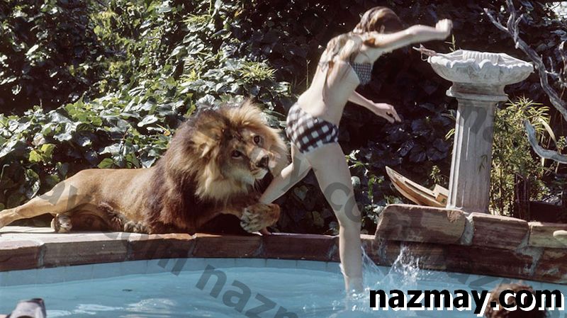 'Holy F * cking Sh * t' Scoperta di 'Roar', il film più pericoloso mai realizzato